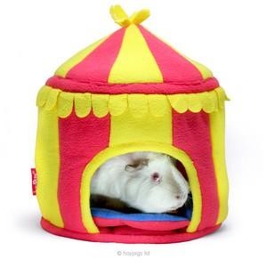 Haypigs Circus Guinea Pig Hidey Hut