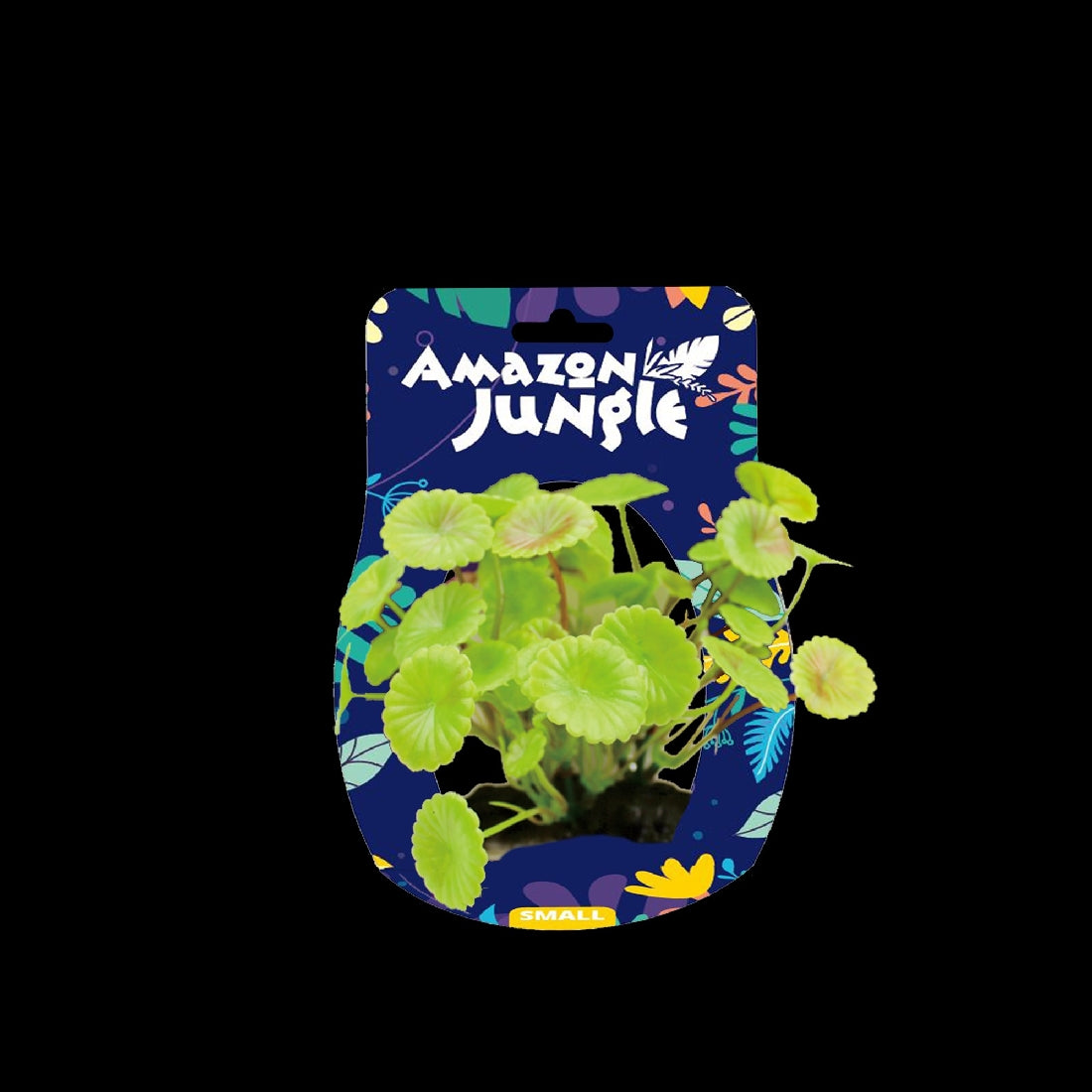 Amazon Jungle Pennywort Display 10-12cm