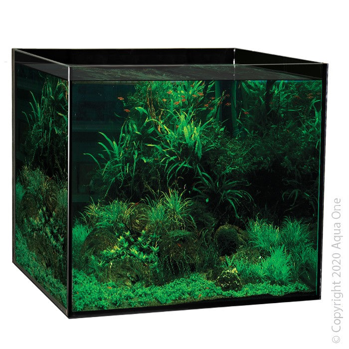 Aquasys 155 Tropical/plant Aquarium 155l 60l X 55d X 53cm H