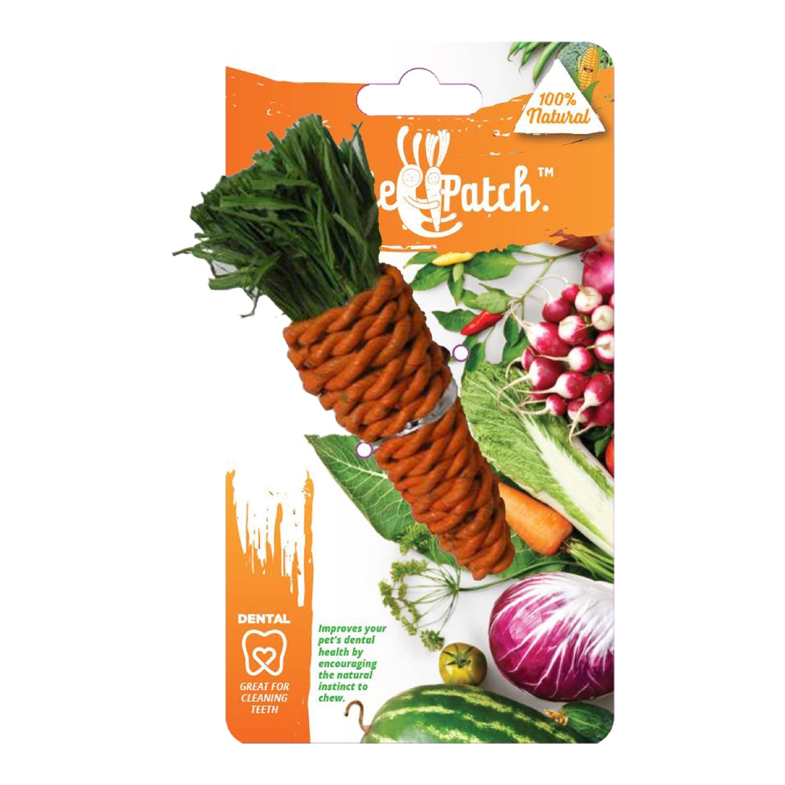 Veggie Patch Carrot Dental Toy
