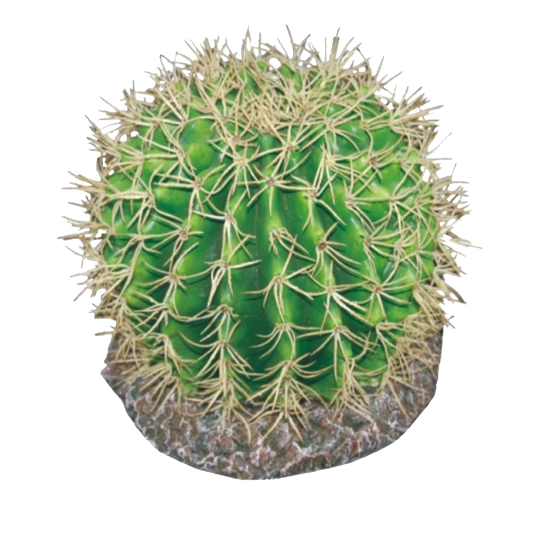 Exo Tech Pineapple Cactus 20cm