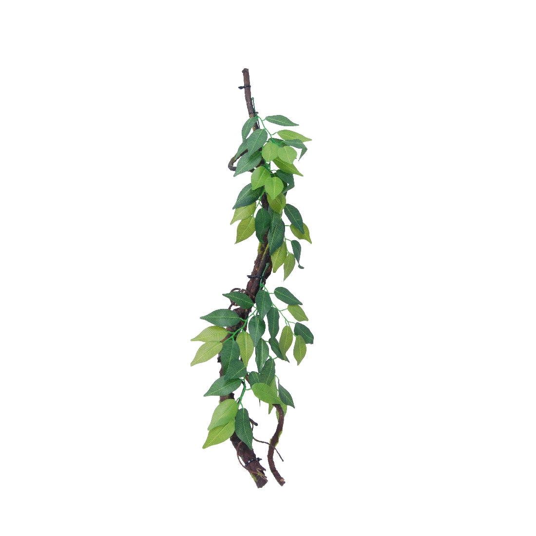 Eco Tech Vine With Ficus Growth 60cm
