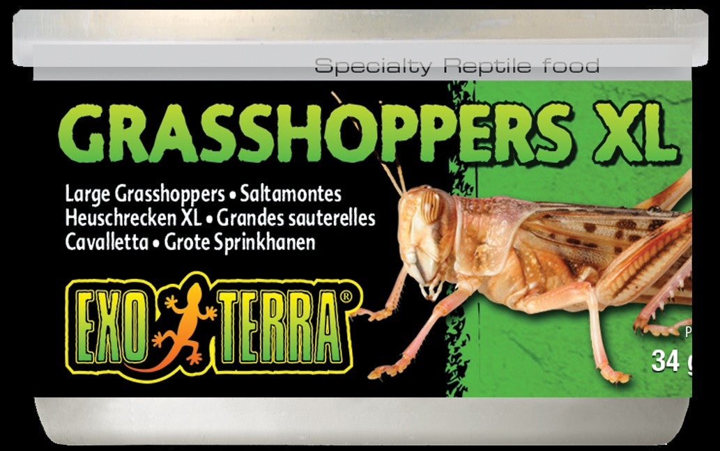 Canned Grasshoppers Xl 34g