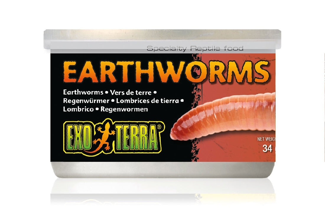 Canned Earthworms 34g