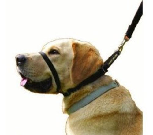 Canny Collar Dog Head Collar For No Pull Dog Collar Training