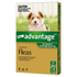 Advantage Dog Puppies & Small Dogs Up To 4kg