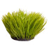 Spinifex Green Plant Reptile 30cm Round