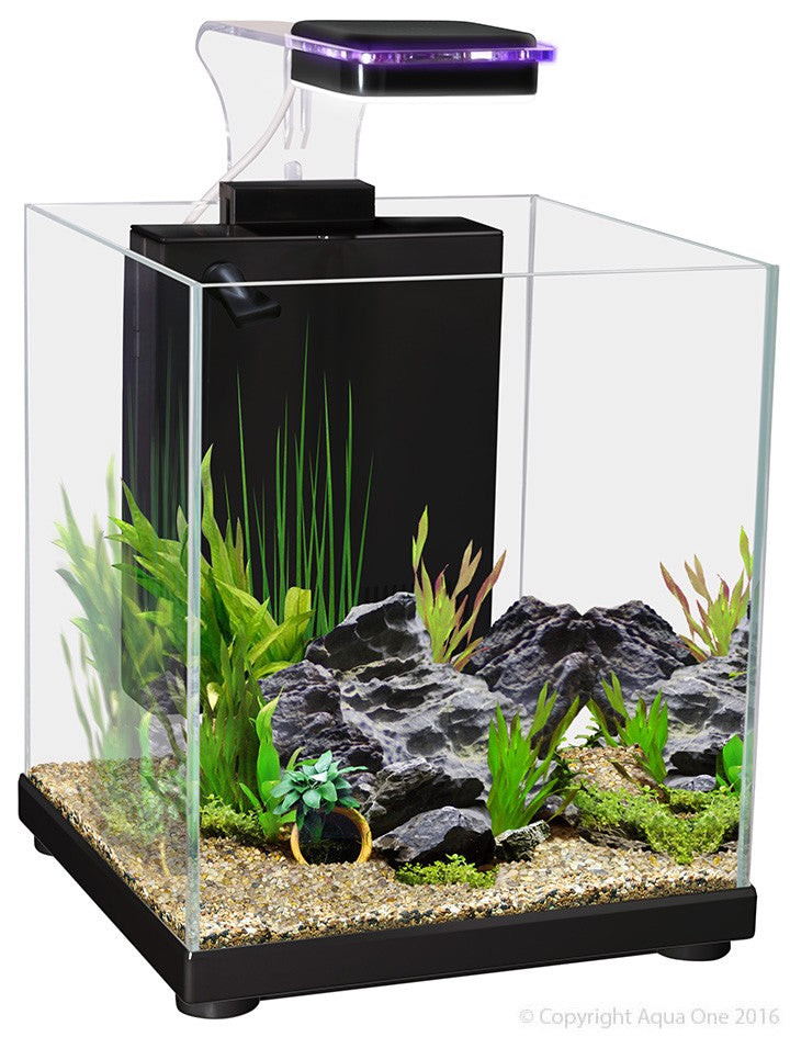 Betta Sanctuary Glass Aquarium 10l 22.4w X 22.4d X 26.3cm H (black)
