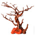 Hermit Crab Climbing Branches And Orange Rock 24.5x18x19cm