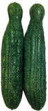 Veggie Patch Cucumber Nibblers (2 Pack)
