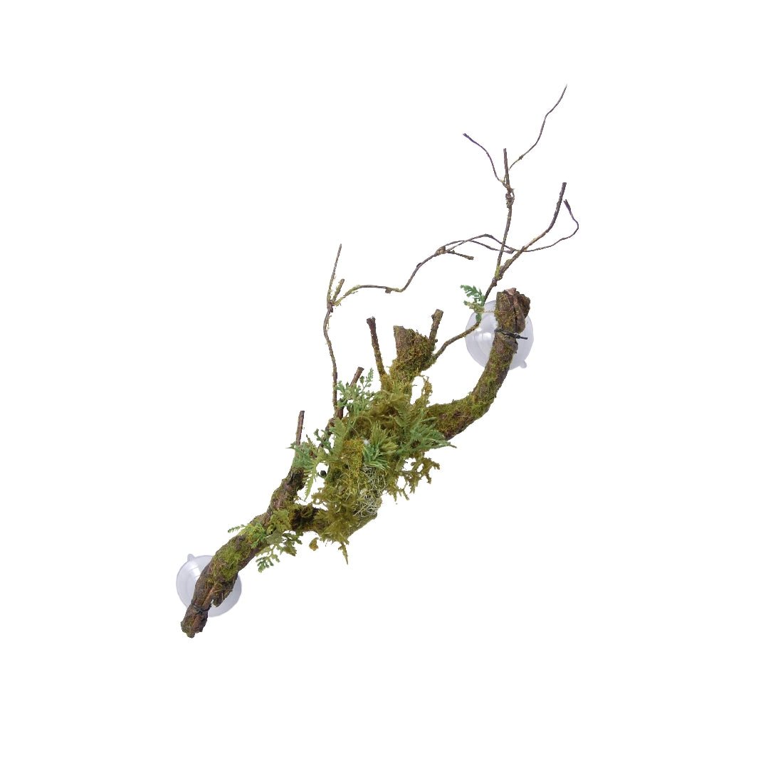 Eco Tech Vine Cluster With Moss 50cm