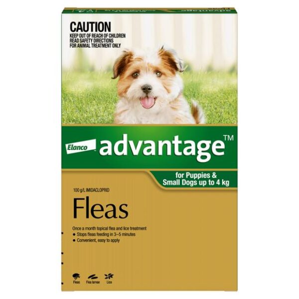 Advantage Dog Small Green