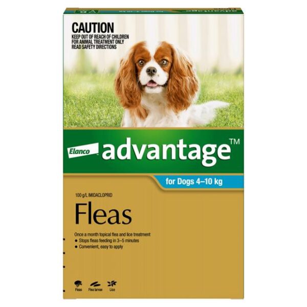 Advantage Dog Medium Aqua