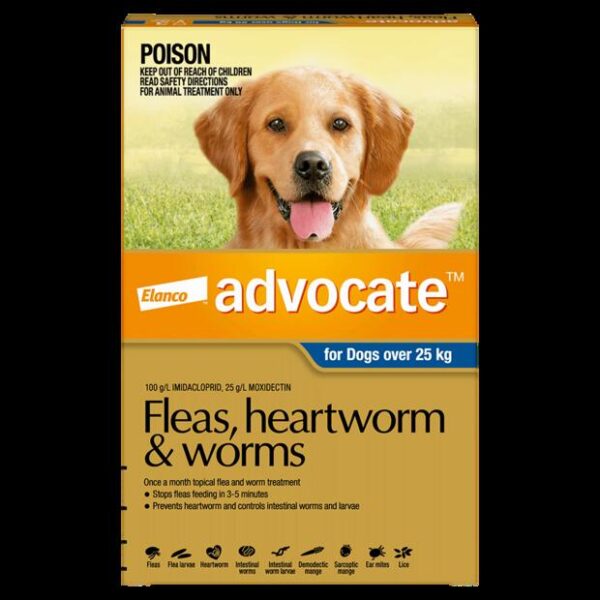 Advocate Dog Extra Large Blue