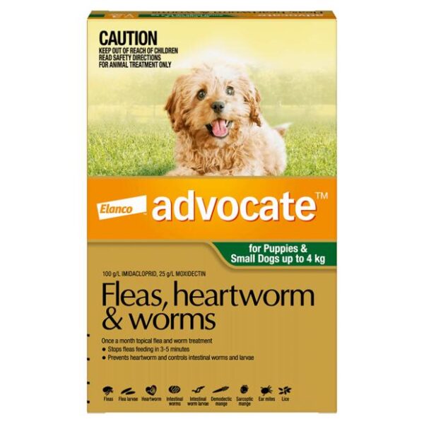 Advocate Dog Small Green