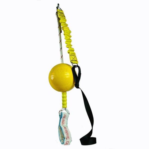 Home Alone Ball Toy