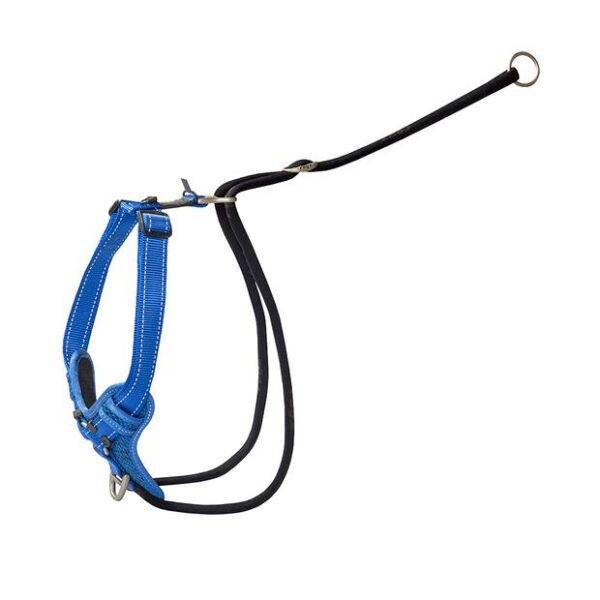 Rogz Harness Control Stop Pull Blue