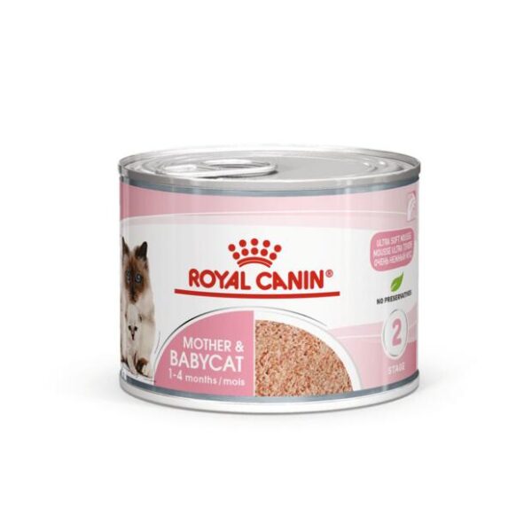 Royal Canin Mother and Baby Cat