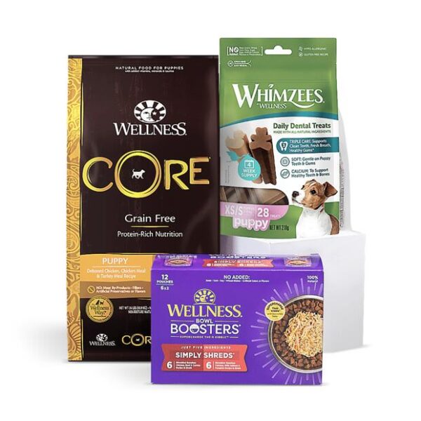 Wellness Core Discovery Bundle Xs Puppy