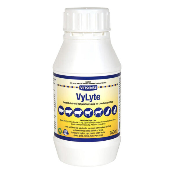 Vetsense Vylyte Concentrated Oral Rehydration Liquid For Livestock And Pets  250 Ml